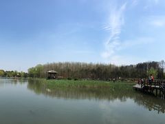 -昆山城市生态森林公园