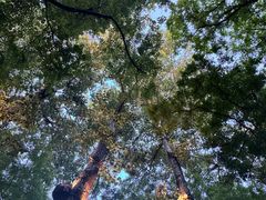 -BOCATA 西班牙餐厅(三里屯店)