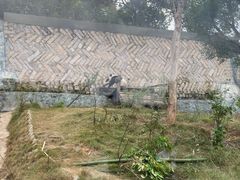 -泉州海丝野生动物世界