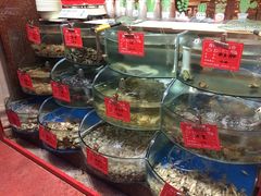 水产区-东来菜馆•手抓海鲜家常菜•海鲜锅贴(鸽子窝店)