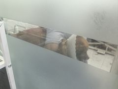 -达爱动物医院·犬猫分区·CT·复杂眼科(远洋山水分院)