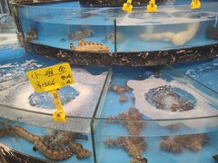 -丁字口海鲜热炒·烧烤大排档