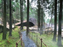 -玉苍山国家森林公园