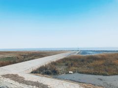 -南汇嘴观海公园