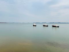 -鄱阳湖国家湿地公园