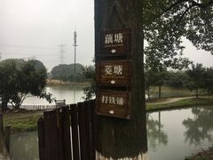 -乌村