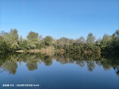 -溱湖国家湿地公园