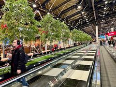 -谢列梅捷沃国际机场