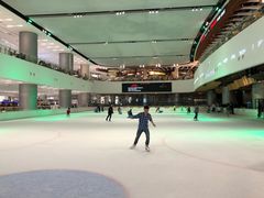 -TheRink大零溜冰场(IFS国金中心店)