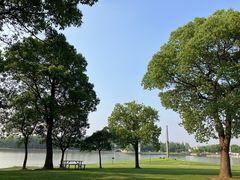 -上海月湖雕塑公园