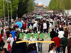 -曹州牡丹园