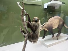 -国家自然博物馆