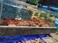 -乾隆美食·本帮菜(黄河路店)