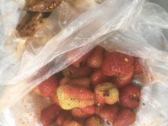 -雪儿钱局泡菜