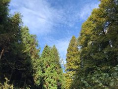 -山王坪喀斯特国家生态公园