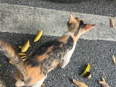 -路口村义和米粉店