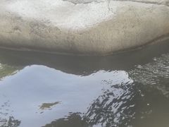 -碧水湾温泉