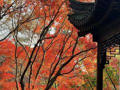 -秋霞圃
