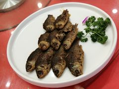 -普天和酒楼·新津菜·烤鸭(天津之眼店)