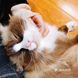 [加油]也太亲人了