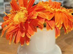 -Osteria Garden 生蚝花园餐厅(原进贤路店)