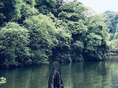-青城山