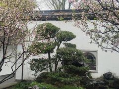-杭州植物园