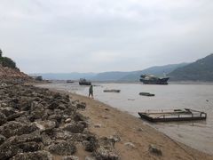 -北岐滩涂