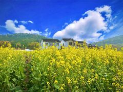 -东山风景区(洞庭东山)