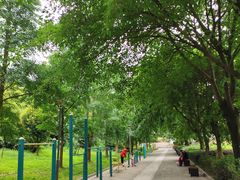 -三圣花乡旅游区