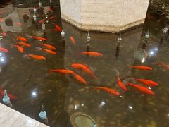 -碧中海汤泉汗蒸酒店