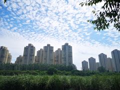 -前关湿地公园