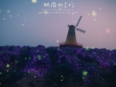 -大塘金香草谷