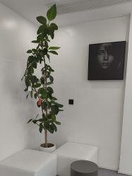 点击看大图 -木子美学