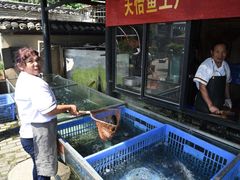 水产区-天怡·鱼工厂(临江店)