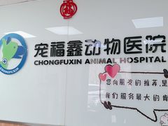 -宠福鑫动物医院(城北分院)