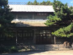 -保定市动物园