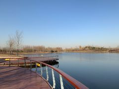 -东郊湿地公园