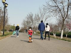 -永定河休闲森林公园