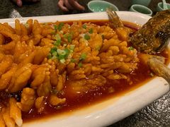 松鼠鱼-河东颐祥阁(世贸店)