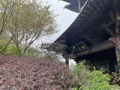 -杭州半山国家森林公园