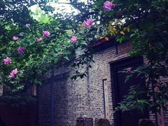 新津老君山-成都老君山