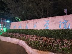 -黄桷坪涂鸦艺术街