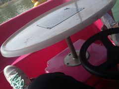 -朝阳公园游乐园