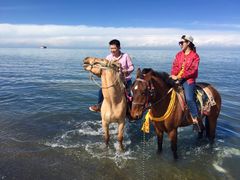 -青海湖国家重点风景名胜区