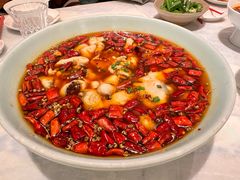 -孔雀云贵川·融合菜(长宁来福士店)