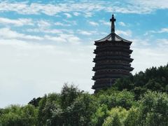 -永定河休闲森林公园