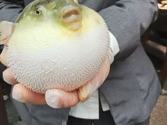 -永安鱼庄·镇江菜(东吴路店)