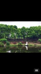 -上海彩妆秀摄影设计有限公司