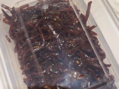 -山东宾馆·齐鲁苑餐厅